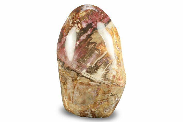 Free-Standing, Polished Petrified Wood - Madagascar #246134